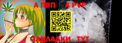 стаф Анжеро-Судженск